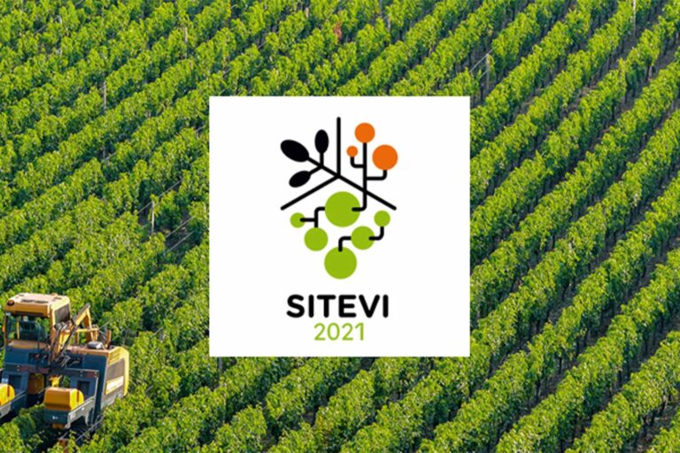 Illustration_SITEVI-2022-participation